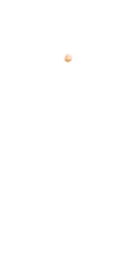 M-Nose_1.png