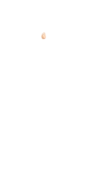 M-Nose_2.png