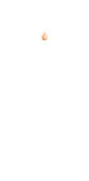 M-Nose_3.png