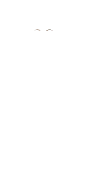 W-Brow_4.png