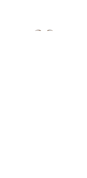 W-Brow_5.png