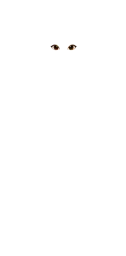 W-Eyes_2.png