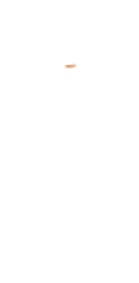 W-Mouth_5.png