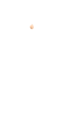 W-Nose_1.png