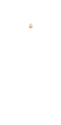W-Nose_2.png