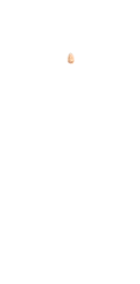 W-Nose_3.png