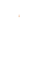 W-Nose_4.png