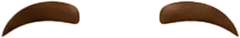 th_M-Brow_3.png