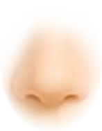 th_M-Nose_1.png