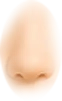 th_M-Nose_2.png