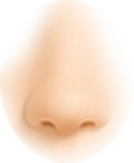th_M-Nose_3.png