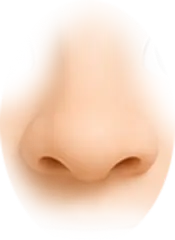 th_M-Nose_4.png