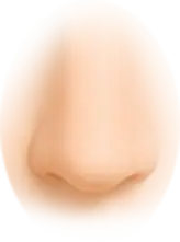 th_M-Nose_5.png