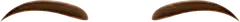 th_W-Brow_1.png