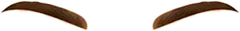 th_W-Brow_2.png