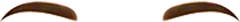 th_W-Brow_4.png