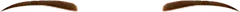 th_W-Brow_5.png