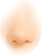 th_W-Nose_1.png
