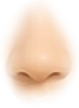 th_W-Nose_2.png