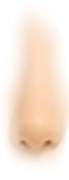 th_W-Nose_4.png