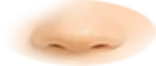 th_W-Nose_5.png