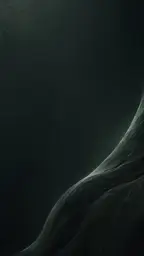 wp_obsidian_contour.jpg